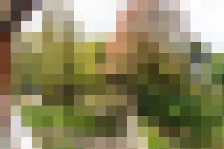 Provinciënlaan 7 D 23 Heemstede thumbnail 10