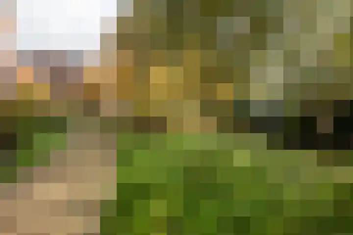 Provinciënlaan 7 D 23 Heemstede thumbnail 29