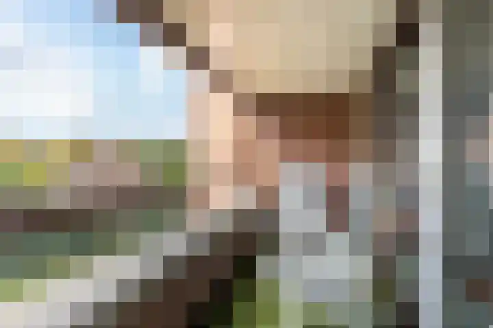 Provinciënlaan 7 D 23 Heemstede thumbnail 7
