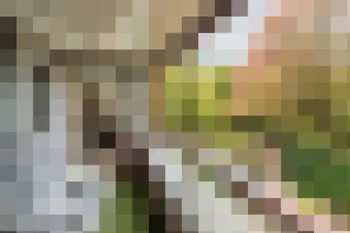 Provinciënlaan 7 D 23 Heemstede thumbnail 8