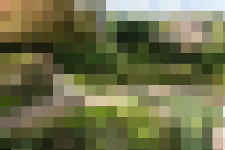 Provinciënlaan 7 D 23 Heemstede thumbnail 9
