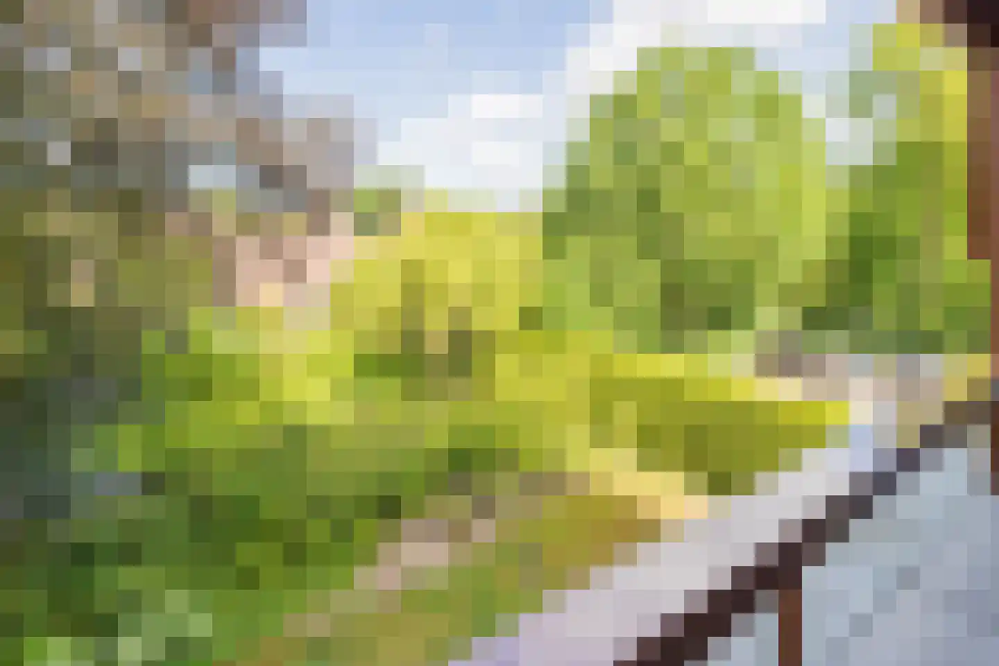 Provinciënlaan 7 D 25 Heemstede thumbnail 8