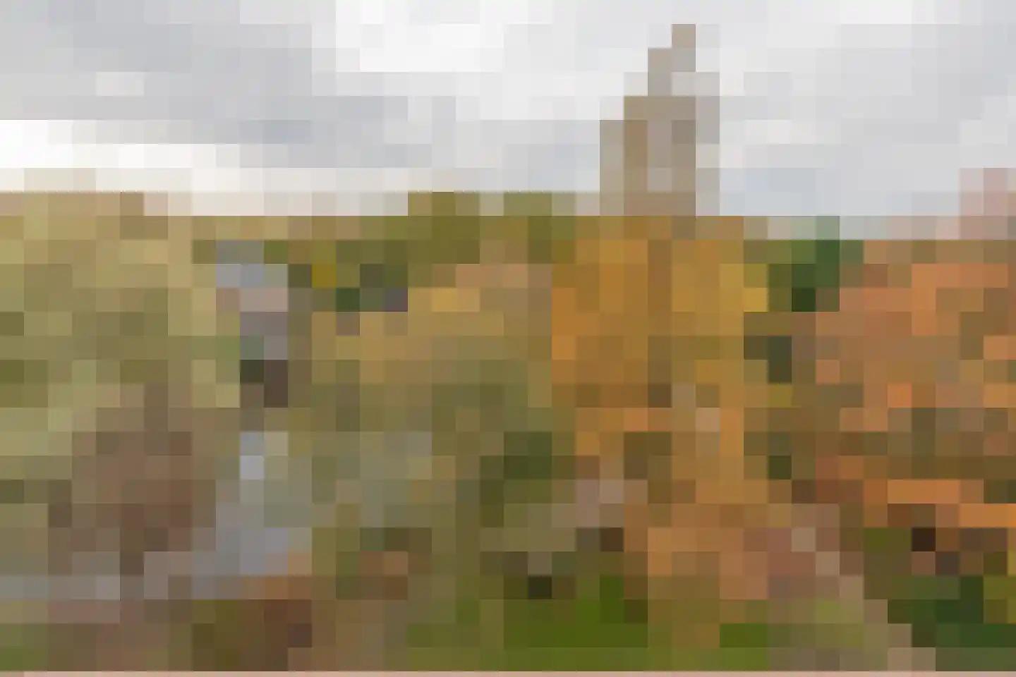Provinciënlaan 7 D 52 Heemstede thumbnail 18