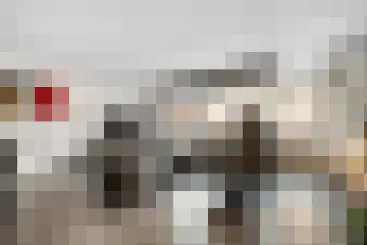 Provincieroute 106 Zwolle thumbnail 7