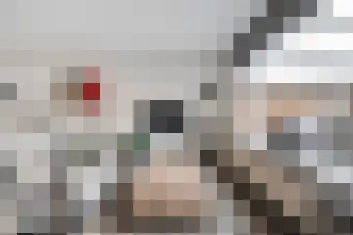 Provincieroute 106 Zwolle thumbnail 9