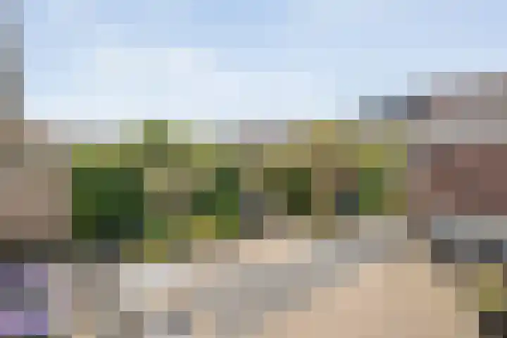 Provincieroute 29 Zwolle thumbnail 27