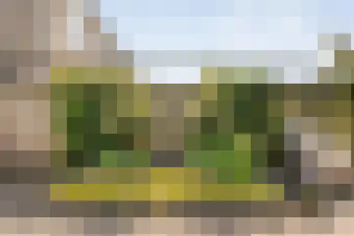 Provincieroute 29 Zwolle thumbnail 30