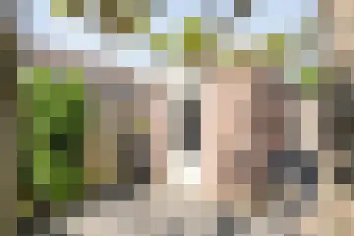 Provincieroute 29 Zwolle thumbnail 31