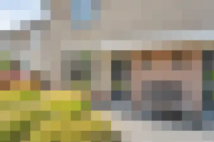 Provincieroute 29 Zwolle thumbnail 33