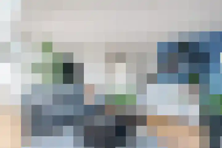 Provincieroute 29 Zwolle thumbnail 7