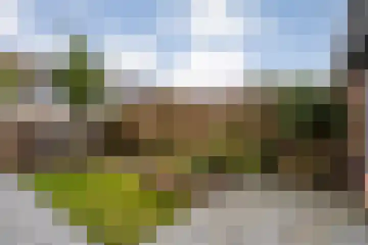 Provincieroute 32 Zwolle thumbnail 31