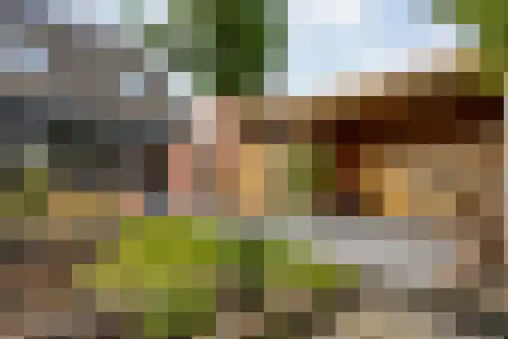 Provincieroute 32 Zwolle thumbnail 34