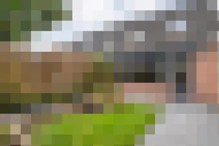 Provincieroute 32 Zwolle thumbnail 38