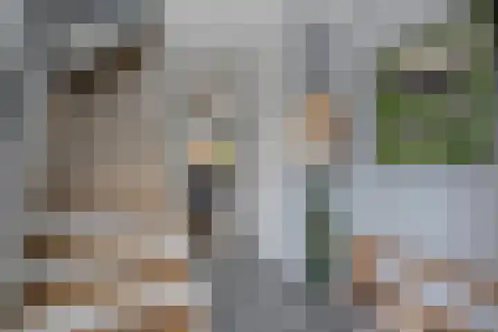 Provincieroute 32 Zwolle thumbnail 5