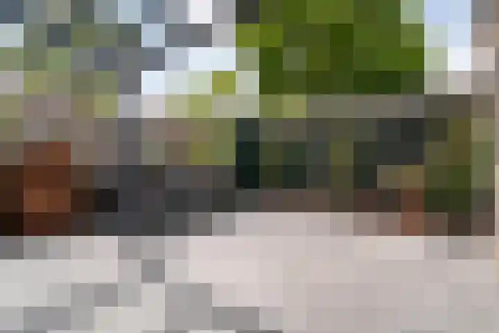 Provincieroute 41 Zwolle thumbnail 33