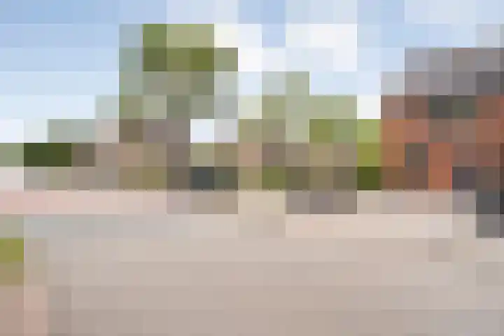 Provincieroute 41 Zwolle thumbnail 37