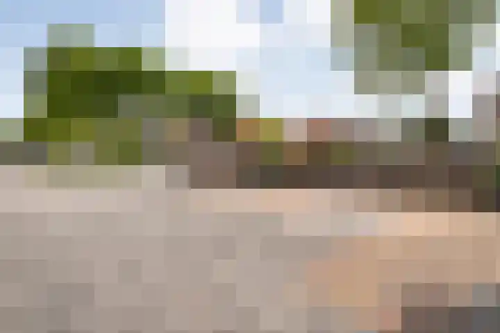 Provincieroute 41 Zwolle thumbnail 38