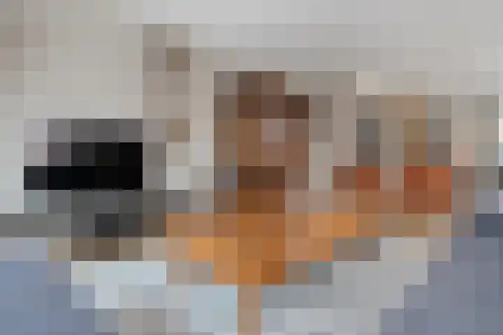 Provincieroute 41 Zwolle thumbnail 9