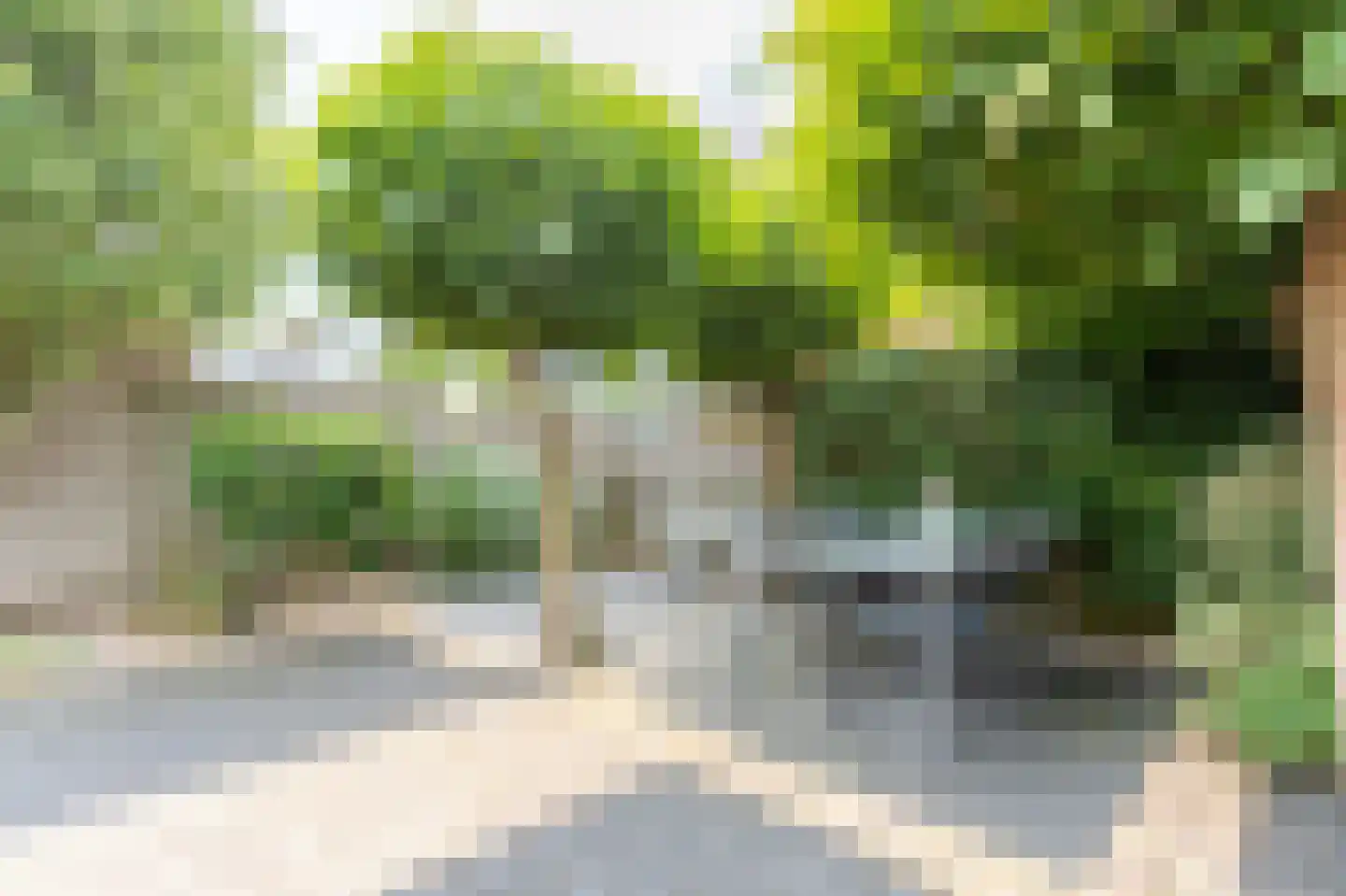 Provincieroute 49 Zwolle thumbnail 32