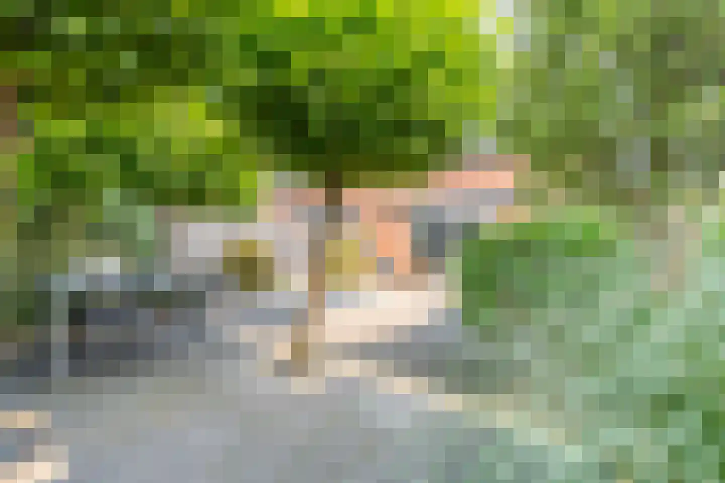 Provincieroute 49 Zwolle thumbnail 35