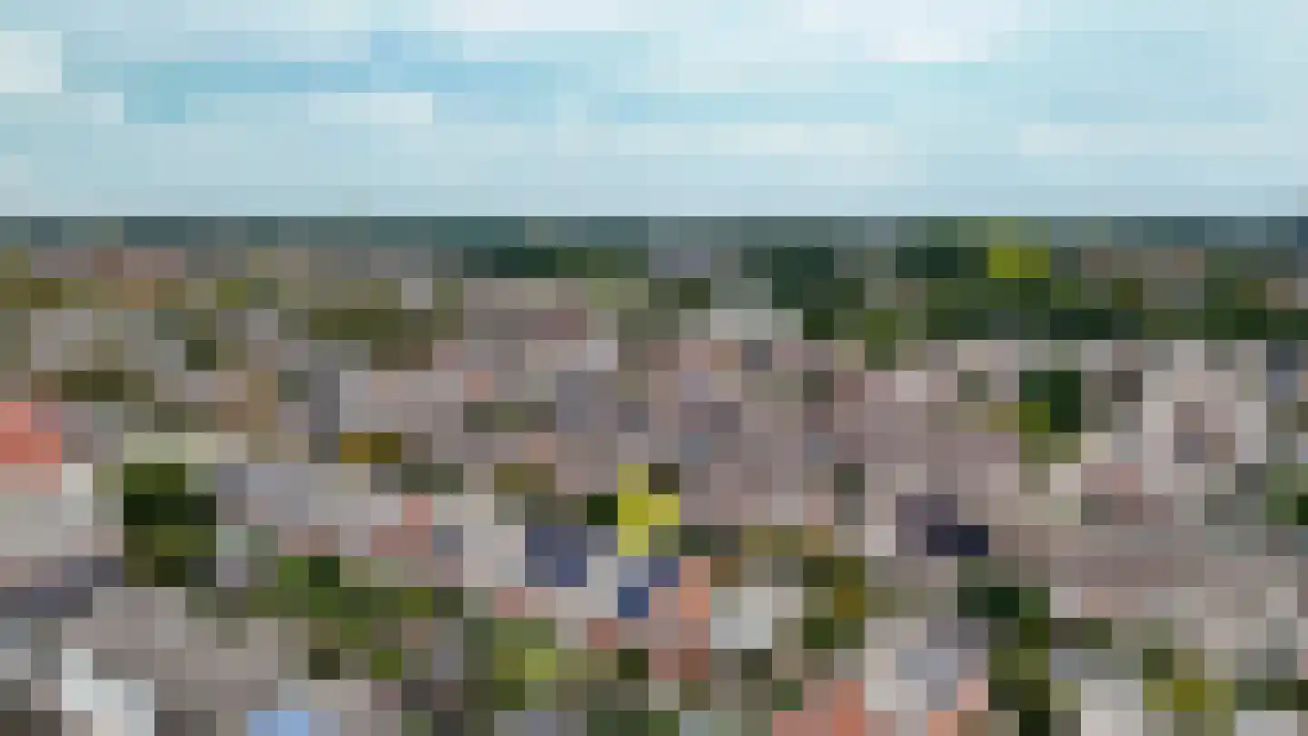 Provincieroute 49 Zwolle thumbnail 40