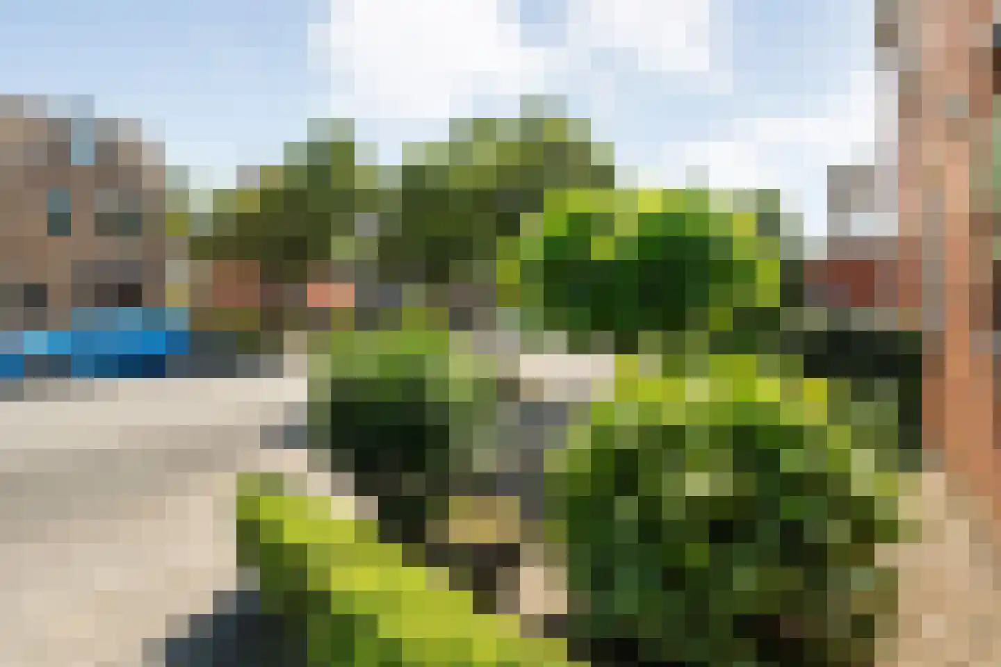 Provincieroute 51 Zwolle thumbnail 42