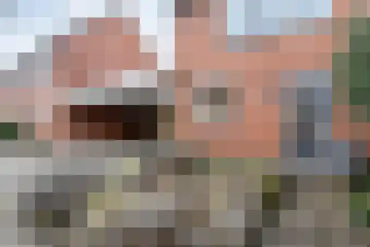 Provincieroute 59 Zwolle foto 2