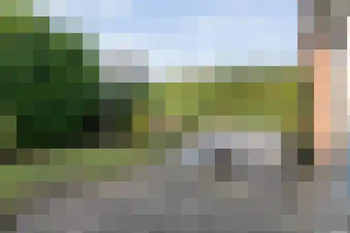 Provincieroute 59 Zwolle thumbnail 32