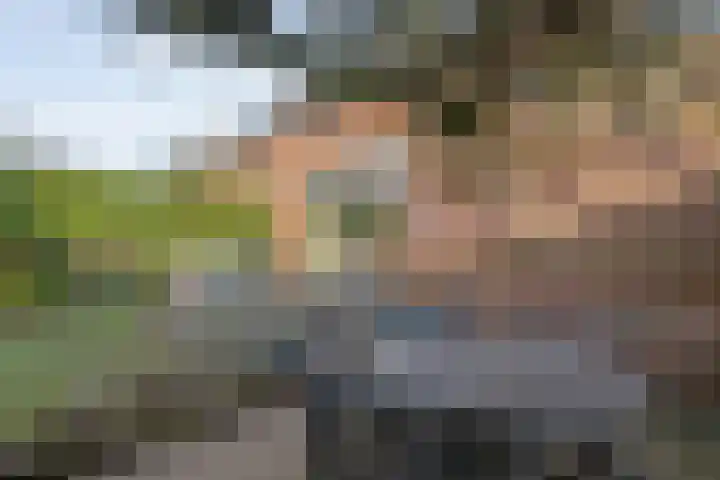 Provincieroute 59 Zwolle thumbnail 34
