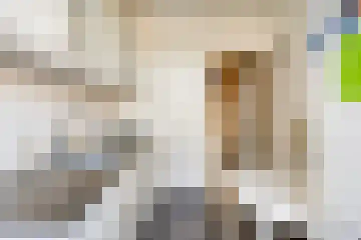 Provisoriestraat 9 Diepenheim thumbnail 12