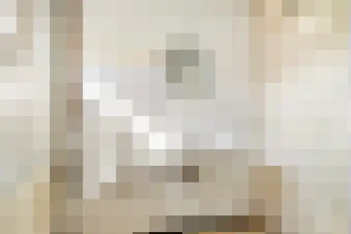 Provisoriestraat 9 Diepenheim thumbnail 17