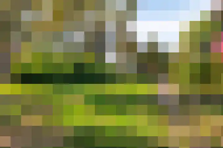 Provisoriestraat 9 Diepenheim thumbnail 26