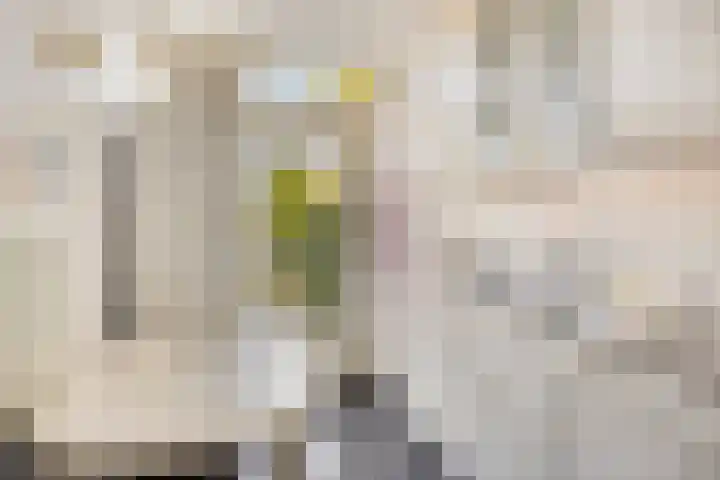 Provisoriestraat 9 Diepenheim thumbnail 4