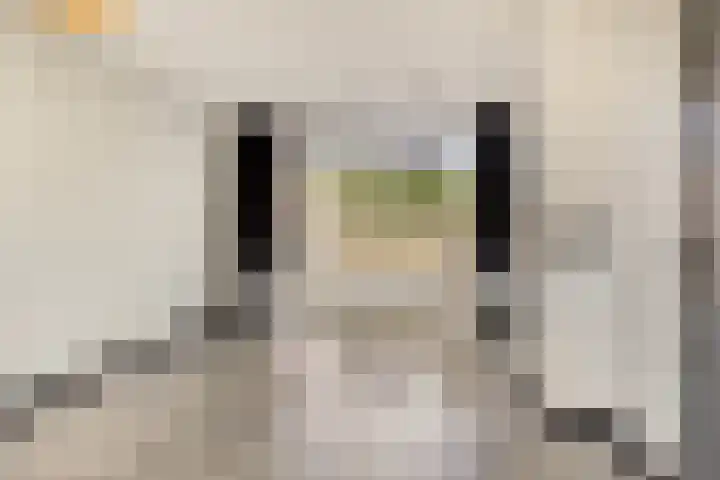 Provisoriestraat 9 Diepenheim thumbnail 8
