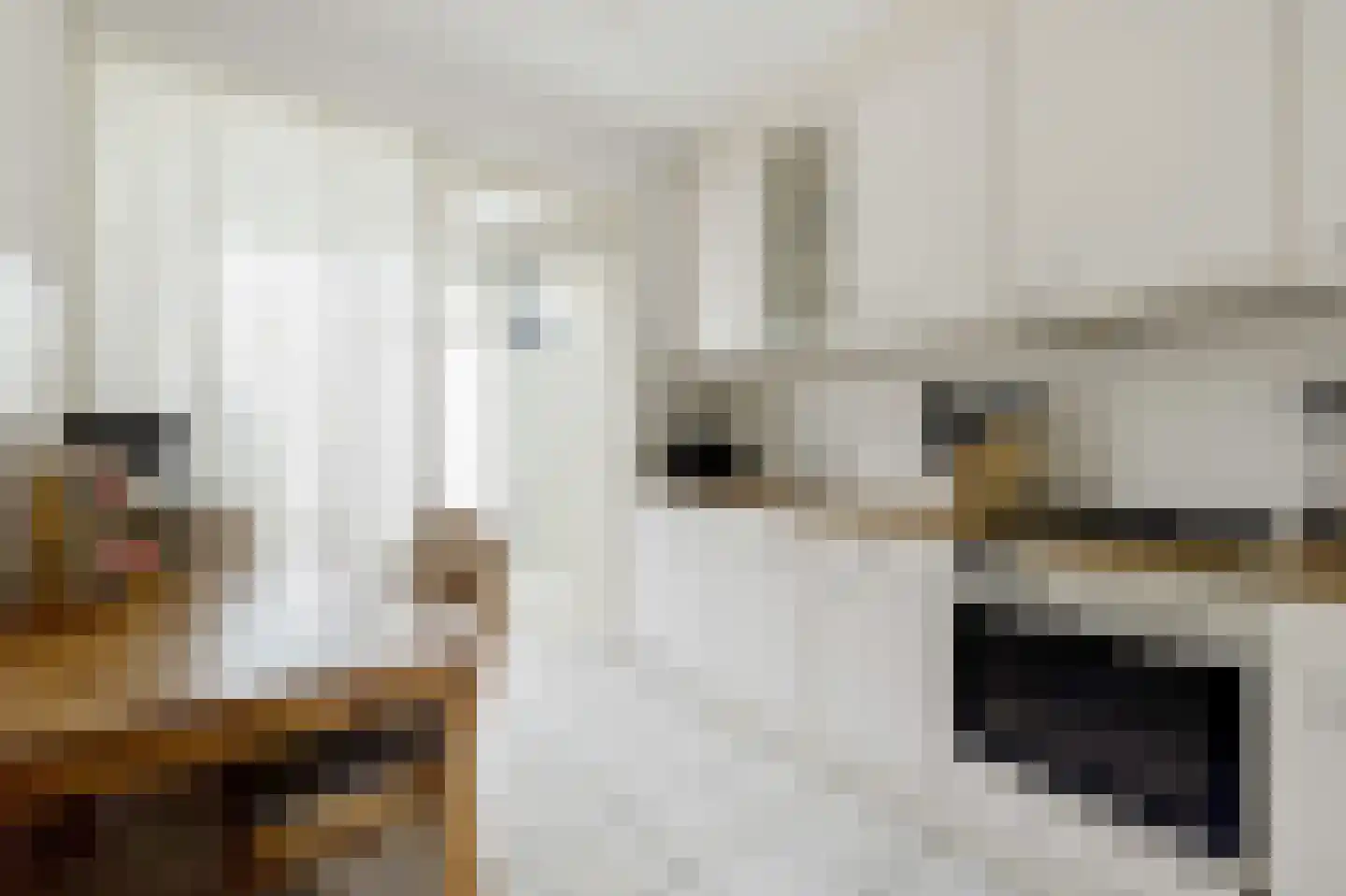 Provisorstraat 12 Veldhoven thumbnail 15
