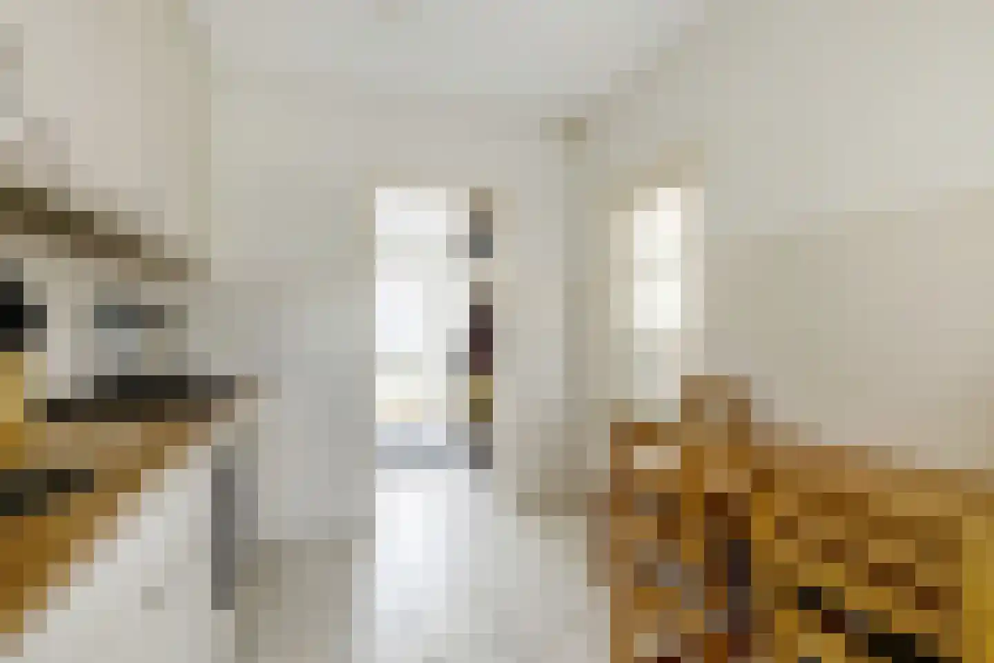 Provisorstraat 12 Veldhoven thumbnail 16
