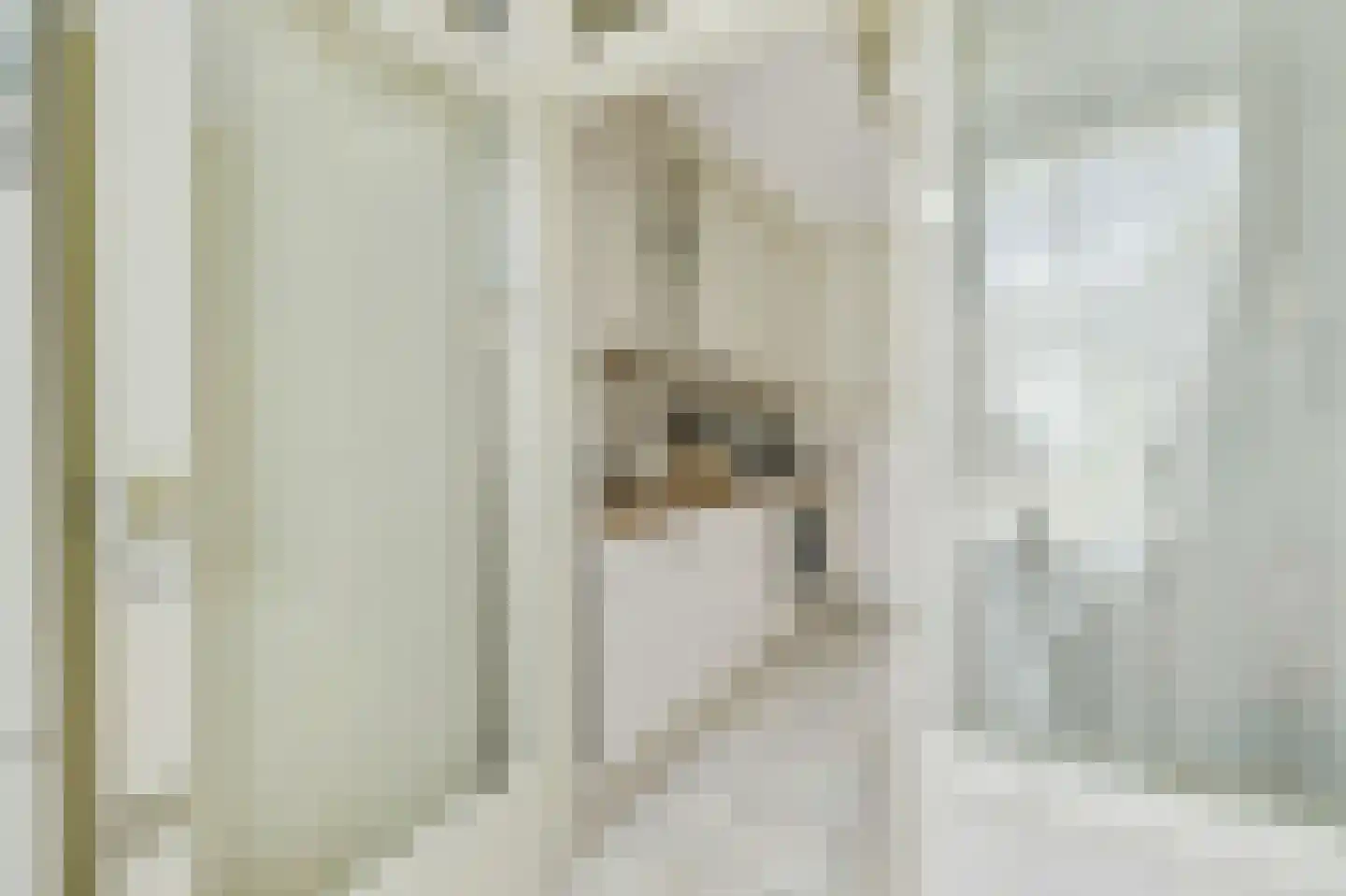 Provisorstraat 12 Veldhoven thumbnail 18