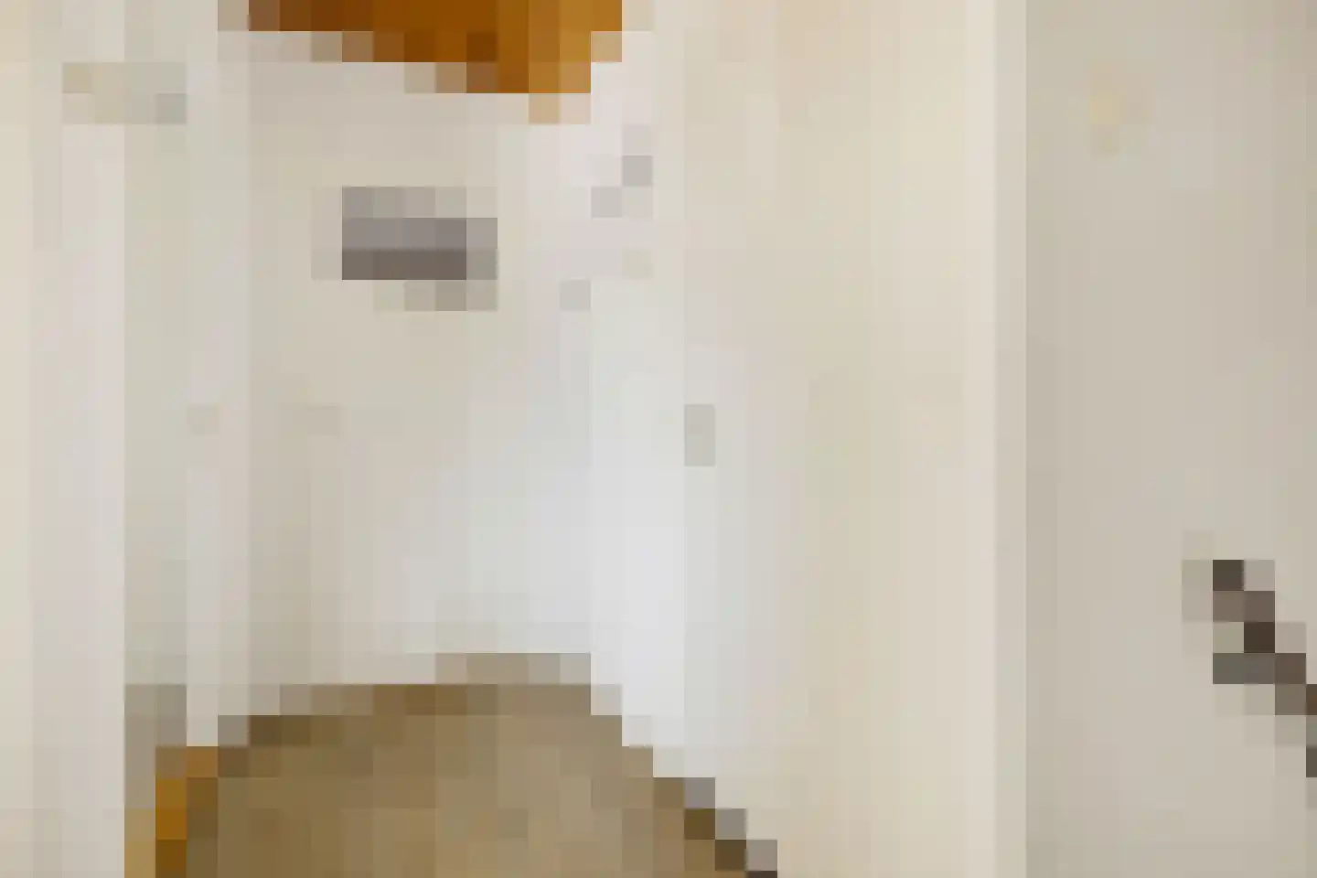Provisorstraat 12 Veldhoven thumbnail 20