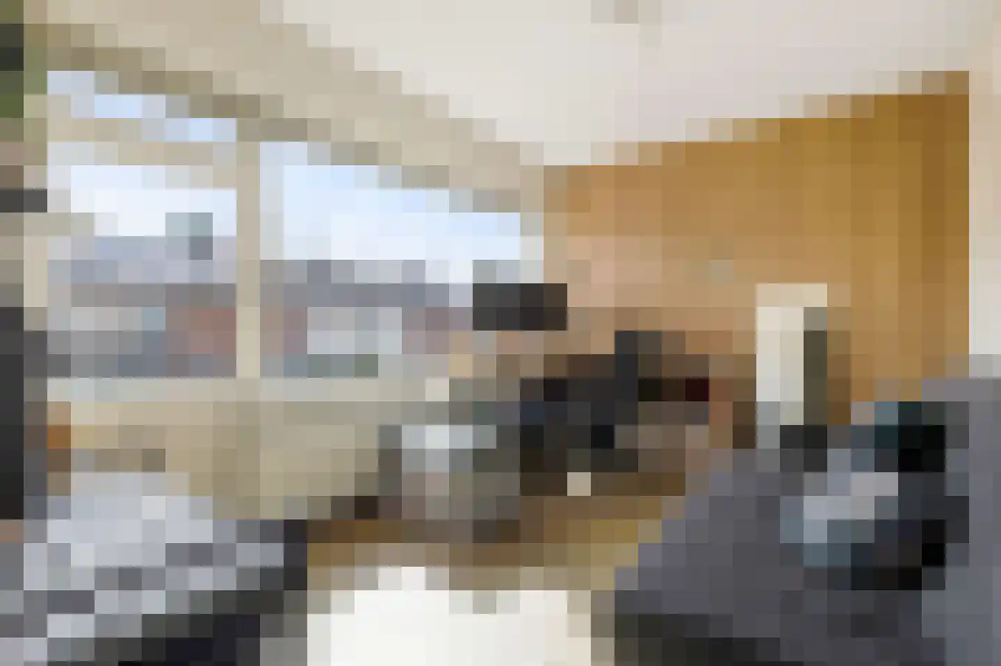 Provisorstraat 12 Veldhoven thumbnail 26