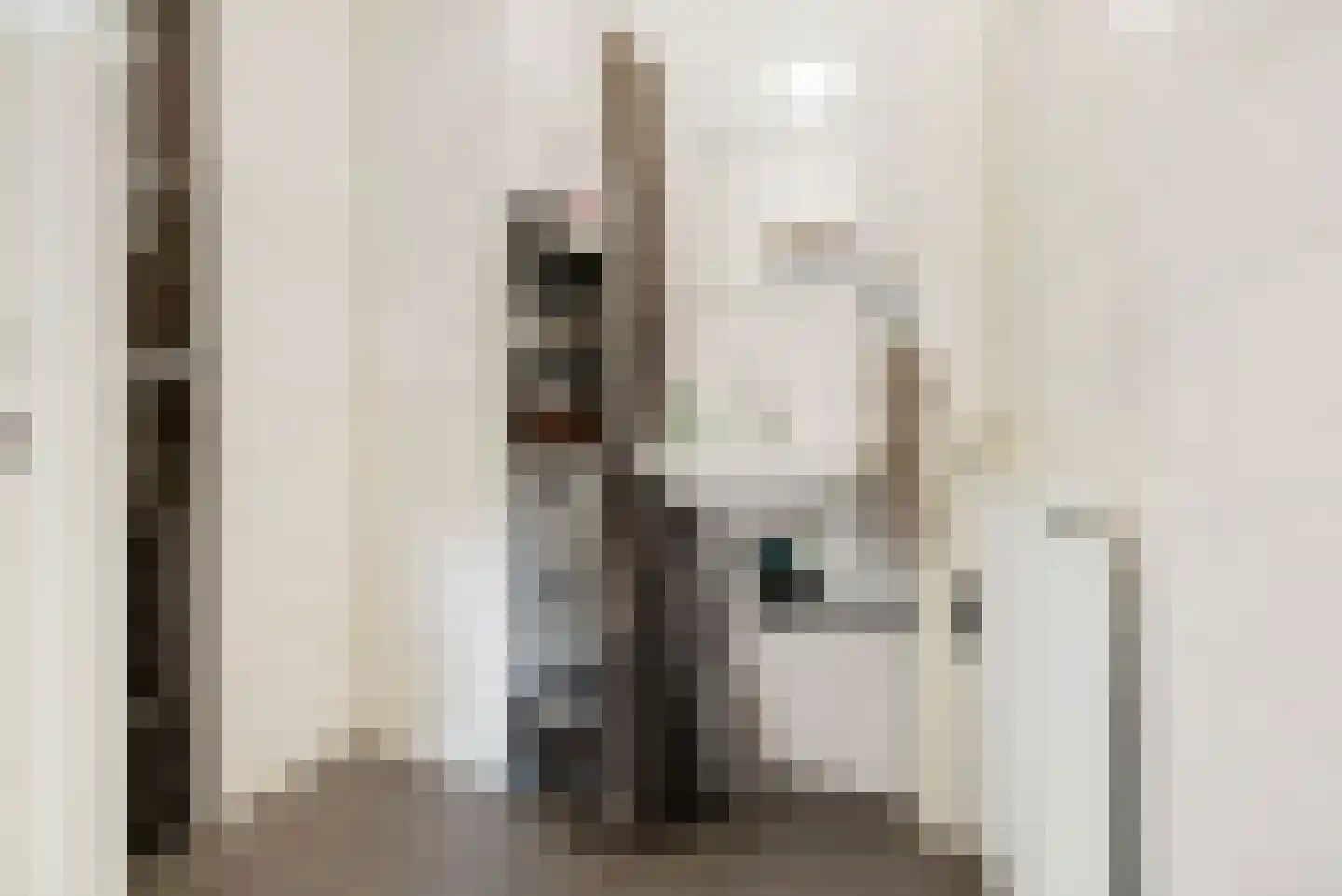Provisorstraat 12 Veldhoven thumbnail 29