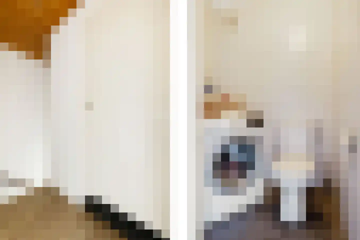 Provisorstraat 12 Veldhoven thumbnail 30