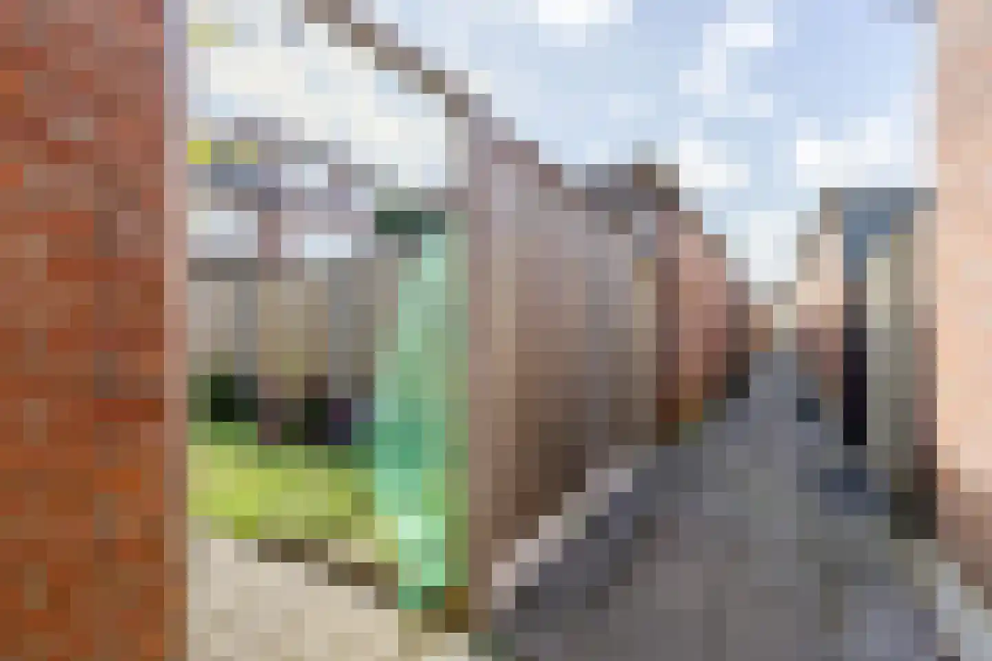 Provisorstraat 12 Veldhoven thumbnail 33