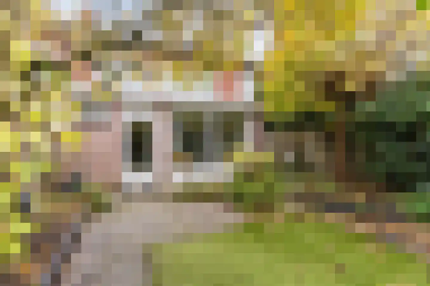 Provisorstraat 24 Veldhoven thumbnail 36