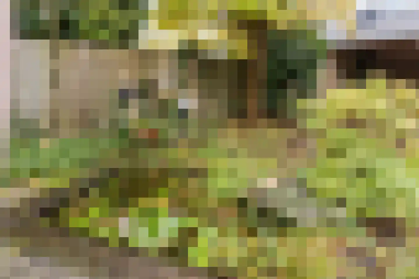 Provisorstraat 24 Veldhoven thumbnail 37