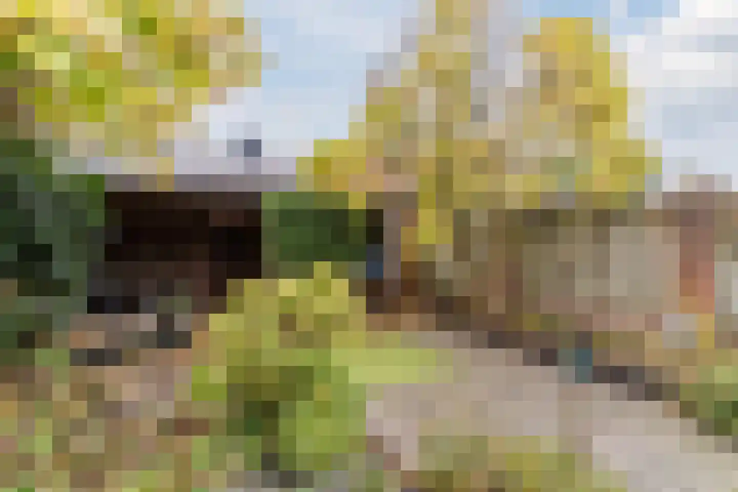 Provisorstraat 24 Veldhoven thumbnail 38
