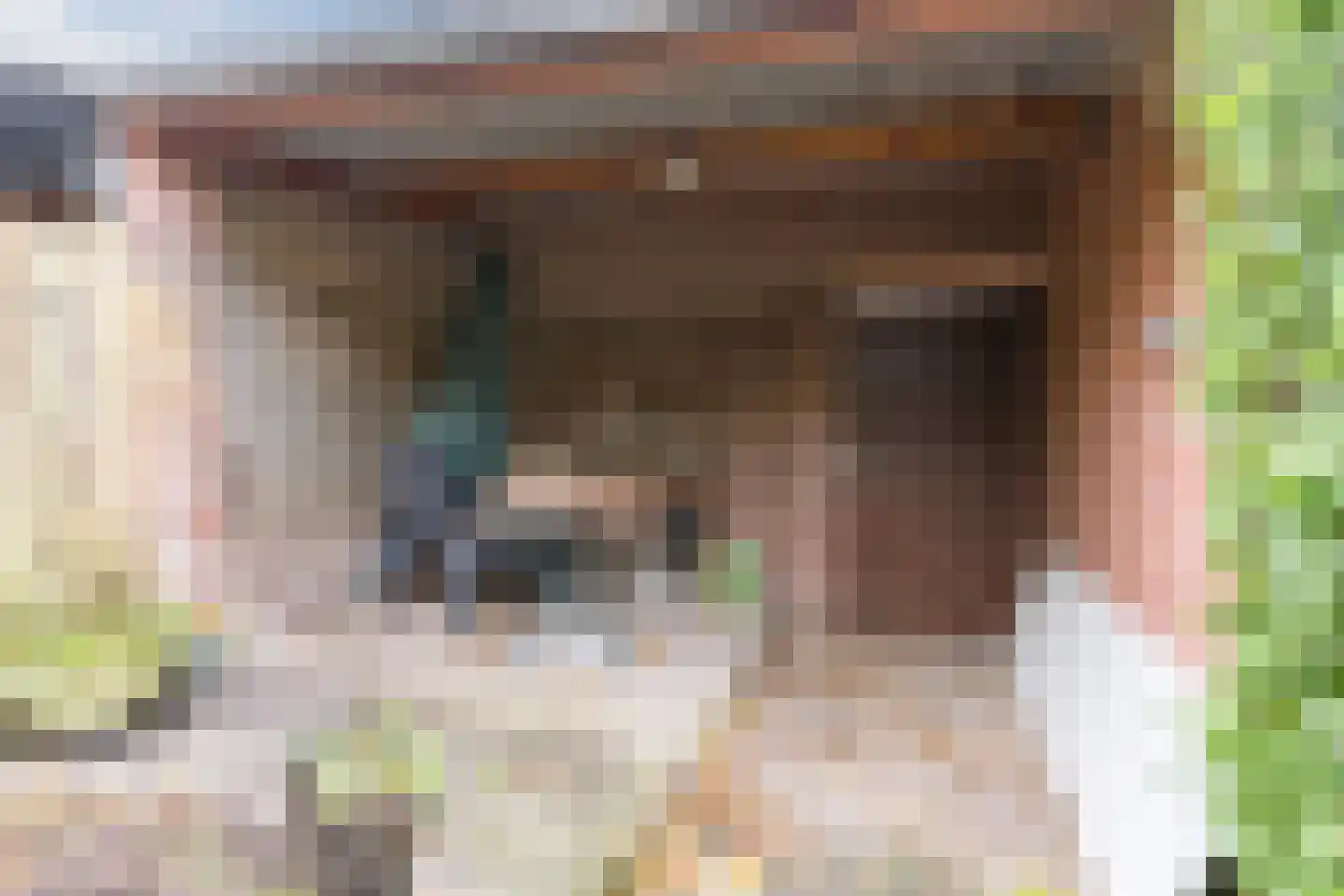 Provisorstraat 24 Veldhoven thumbnail 39