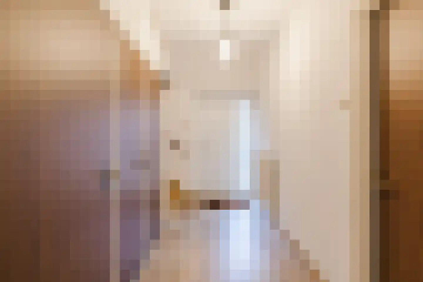 Provisorstraat 24 Veldhoven thumbnail 7