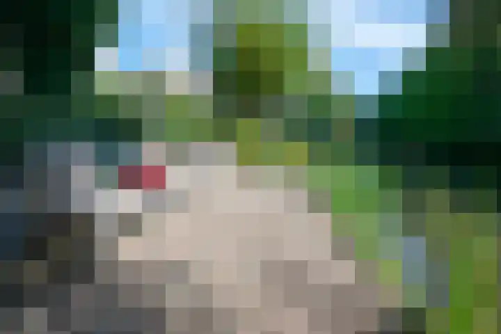 Prozastraat 14 Gorinchem thumbnail 22