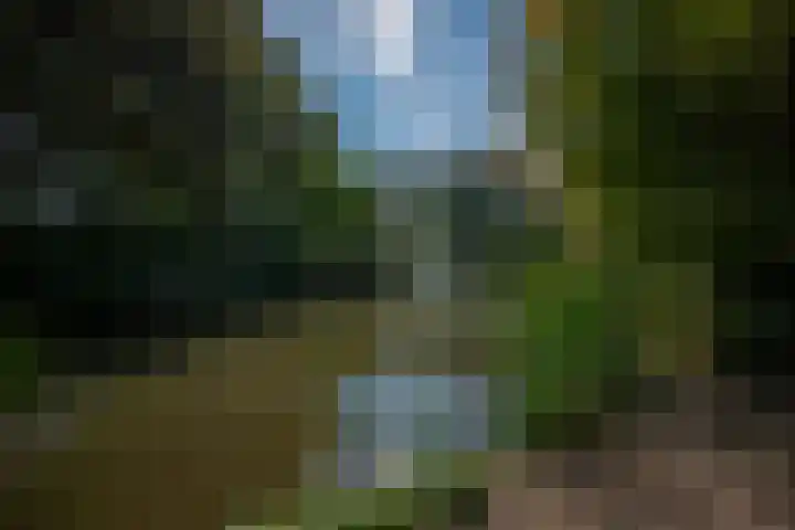Prozastraat 14 Gorinchem thumbnail 23