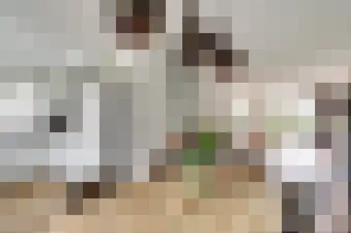 Prozastraat 4 Gorinchem thumbnail 14